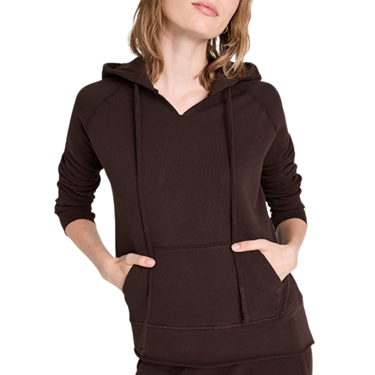 Nili Lotan Janie Hoodie in Expresso in Vermont